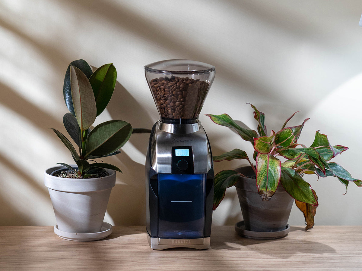 Baratza Encore Conical Burr Coffee Grinder on counter top next to two plants.